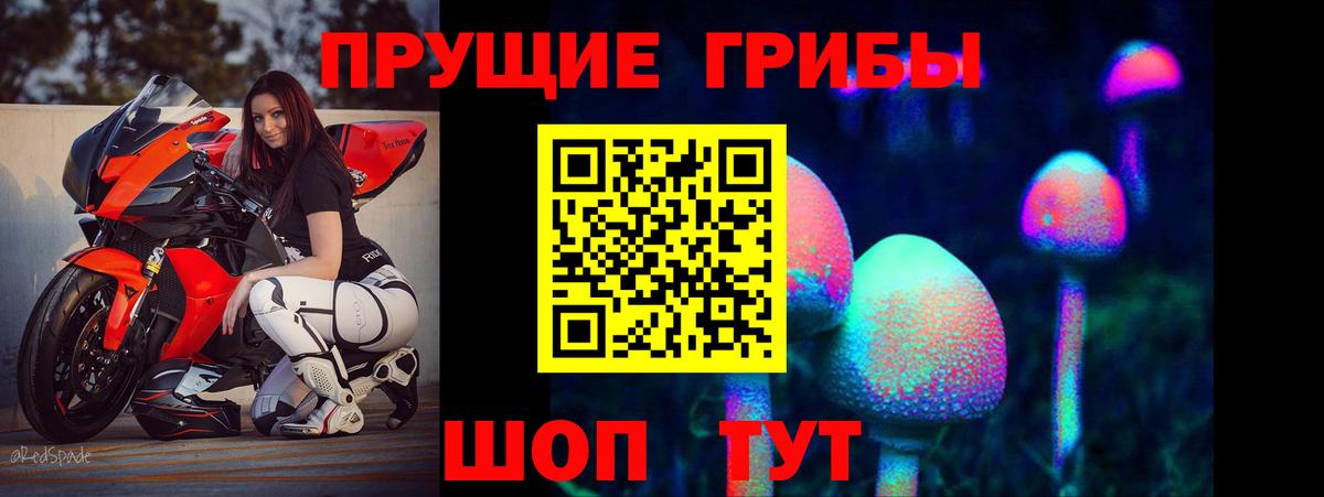 Галлюциногенные грибы мицелий  Псилоцибиновые грибы Magic Shrooms  Гусиноозёрск  магазин продажи   Вход с VPN 